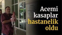 Acemi kasaplar hastanelik oldu